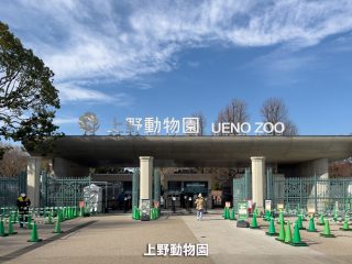 上野動物園  ／1.4km  ／19分