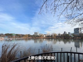 上野公園（不忍池）  ／2.1km  ／29分
